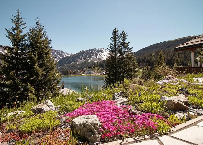 Sans Souci Eg - Alpenblick & Obersee Panorama - By Daire
