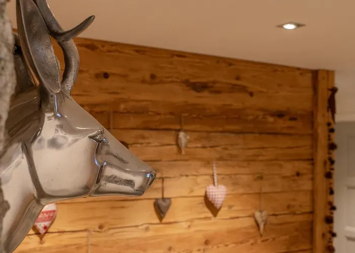 Sans Souci Eg - Alpenblick & Obersee Panorama - By Daire Arosa